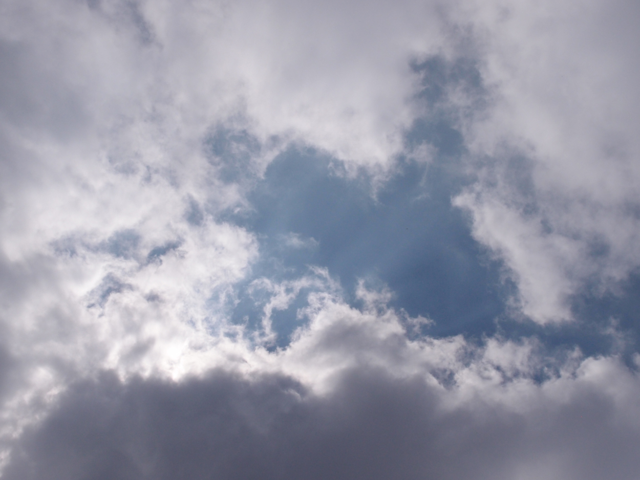2018-01-16 12 Uhr - Im Shivapuri Nagarjun National Park (Nagi Gumba) (Foto) 